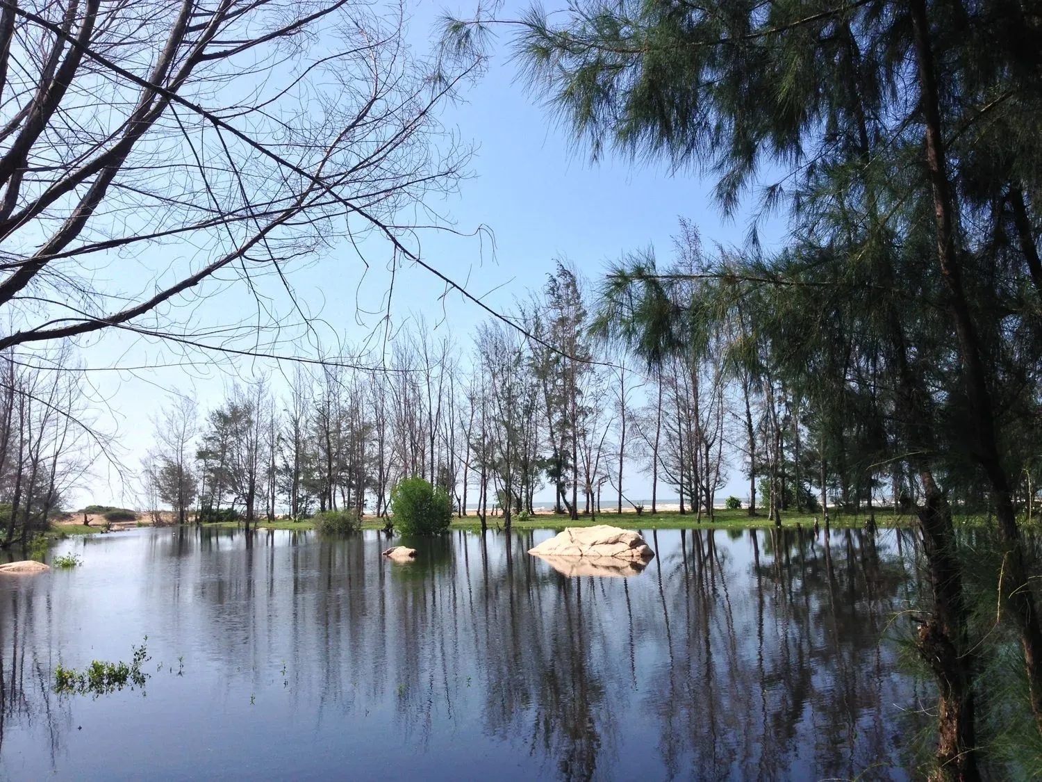 Ảnh lịch trình du lịch tự túc Tripical 1 - Vũng Tàu, VN