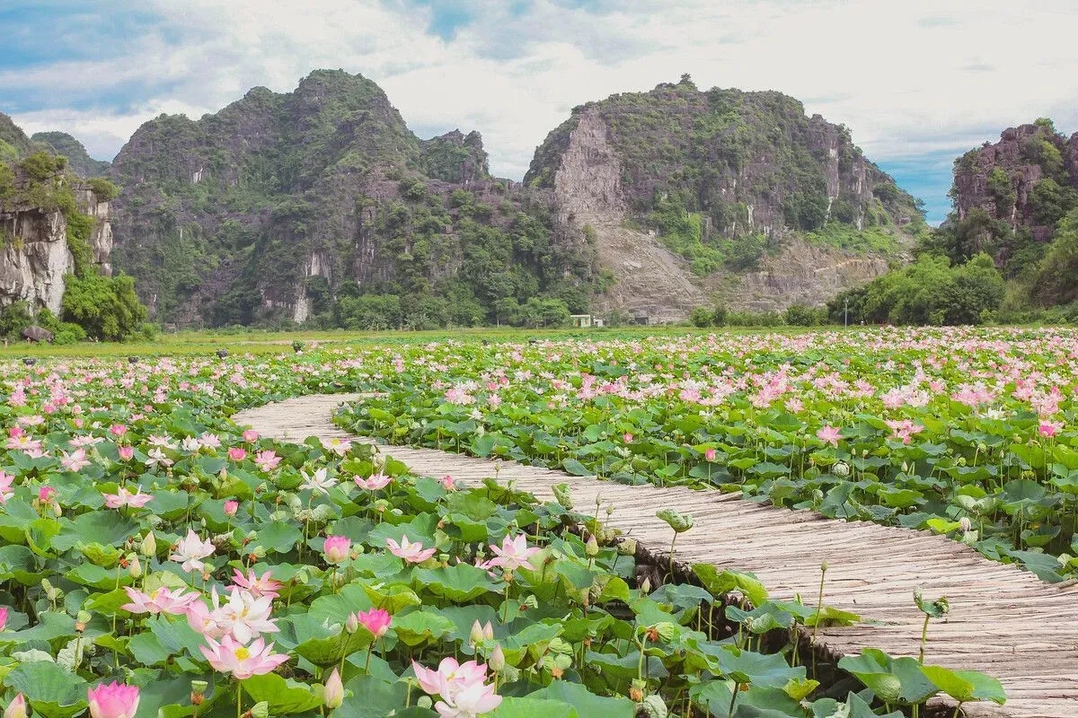 Ảnh lịch trình du lịch tự túc Tripical 1 - Ninh Bình, VN