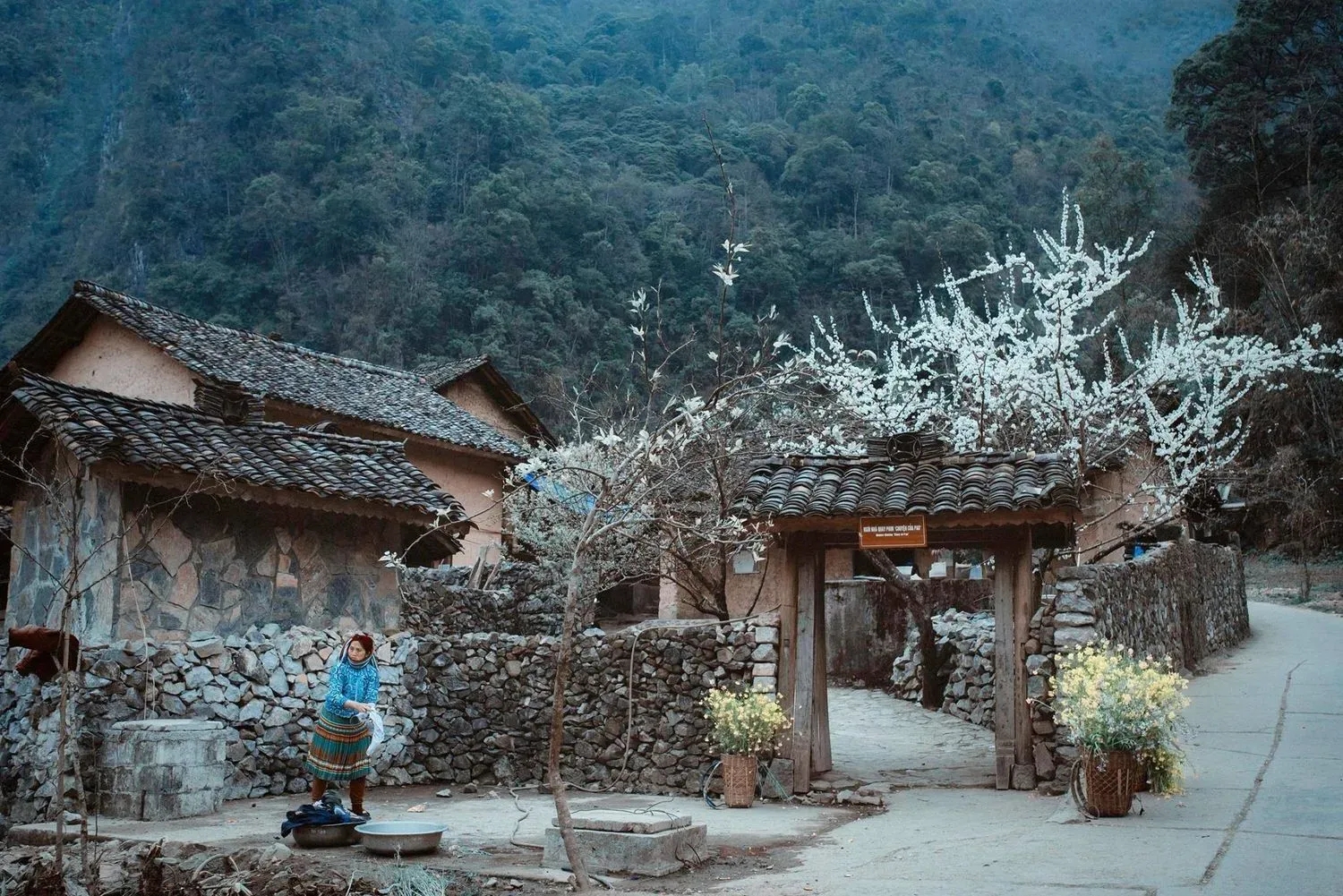 Ảnh lịch trình du lịch tự túc Tripical 1 - Hà Giang, VN