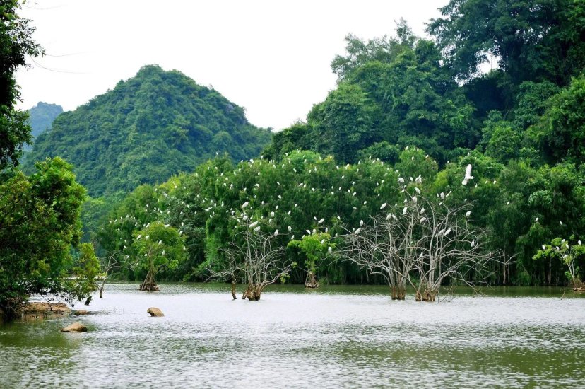 Ảnh lịch trình du lịch tự túc Tripical 2 - Ninh Bình, VN