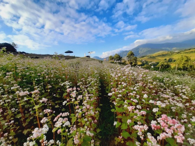 Ảnh lịch trình du lịch tự túc Tripical 3 - Hà Giang, VN