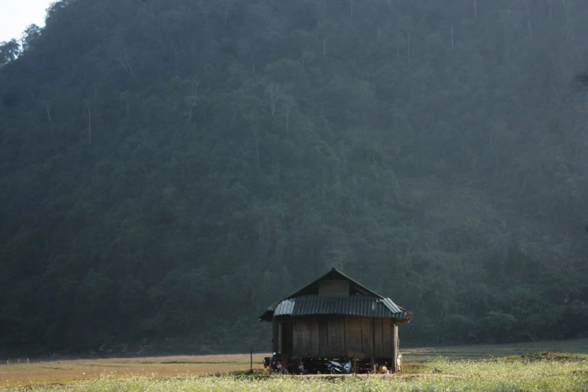 Ảnh lịch trình du lịch tự túc Tripical 2 - Mộc Châu, VN