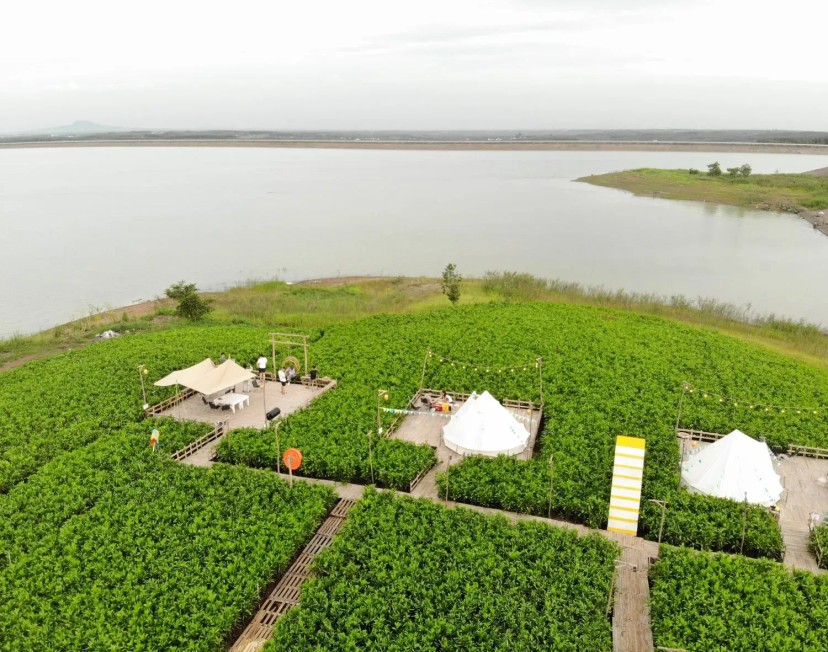 Ảnh 3 - lịch trình Picnic, dã ngoại hồ Trị An- Đồng Nai, chill cuối tuần cho gia đình, nhóm bạn, cặp đôi [Trong ngày] - Tripical | Travel planner App