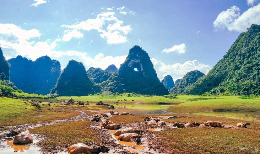 Ảnh chính Trip số 0 - lịch trình Lịch trình 2N1Đ "đông du" Cao Bằng- Vùng đất của những thác nước tự nhiên