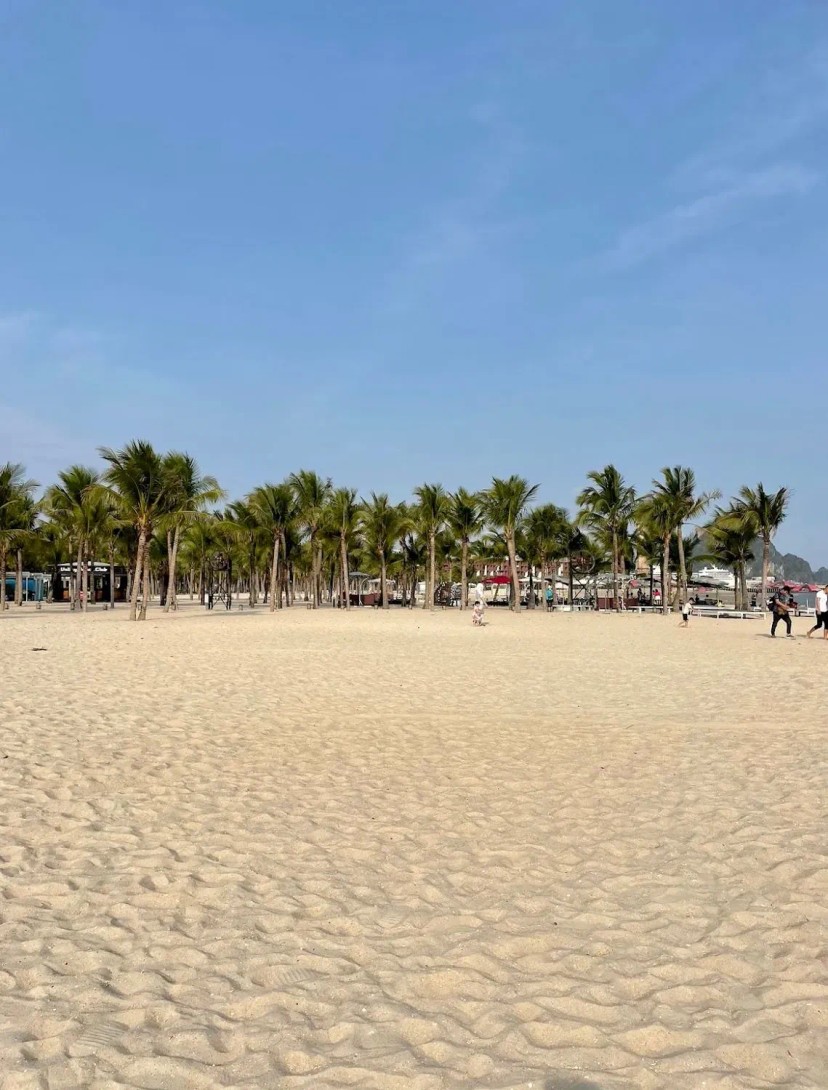 Ảnh 3 - lịch trình Nửa ngày ở Hạ Long thì làm gì? Chill Beach Bar siêu cuốn ngay tại bãi biển Bãi Cháy - Tripical | Travel planner App