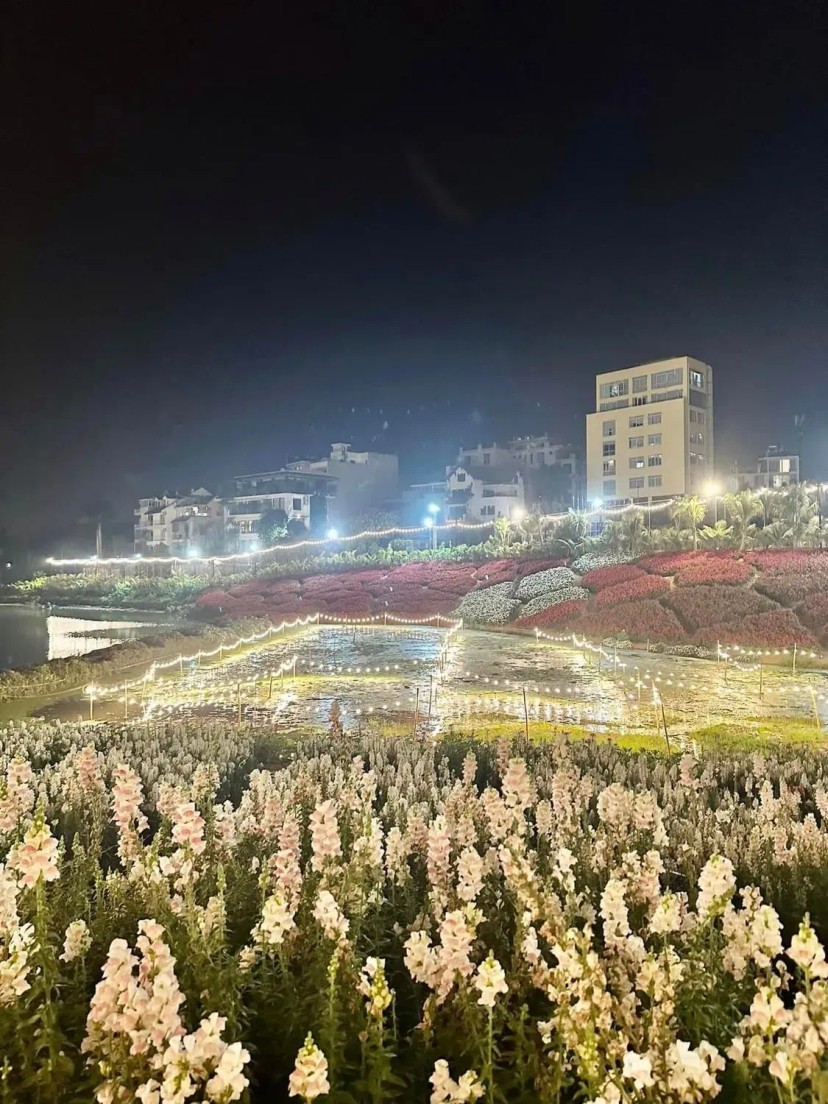 Ảnh 3 - lịch trình Overnight Hà Nội: phượt hồ Tây đêm khuya, bi-a siêu “cháy” cho cặp đôi hoặc nhóm bạn - Tripical | Travel planner App