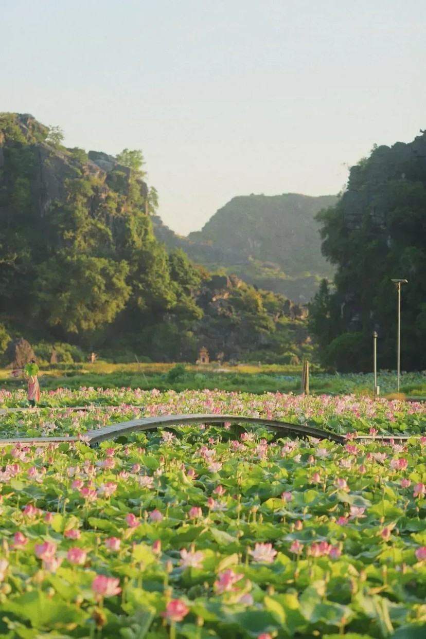 Ảnh chính Trip số 12 - lịch trình 2 ngày 1 đêm ngược dòng quá khứ về cố đô Hoa Lư Ninh Bình 