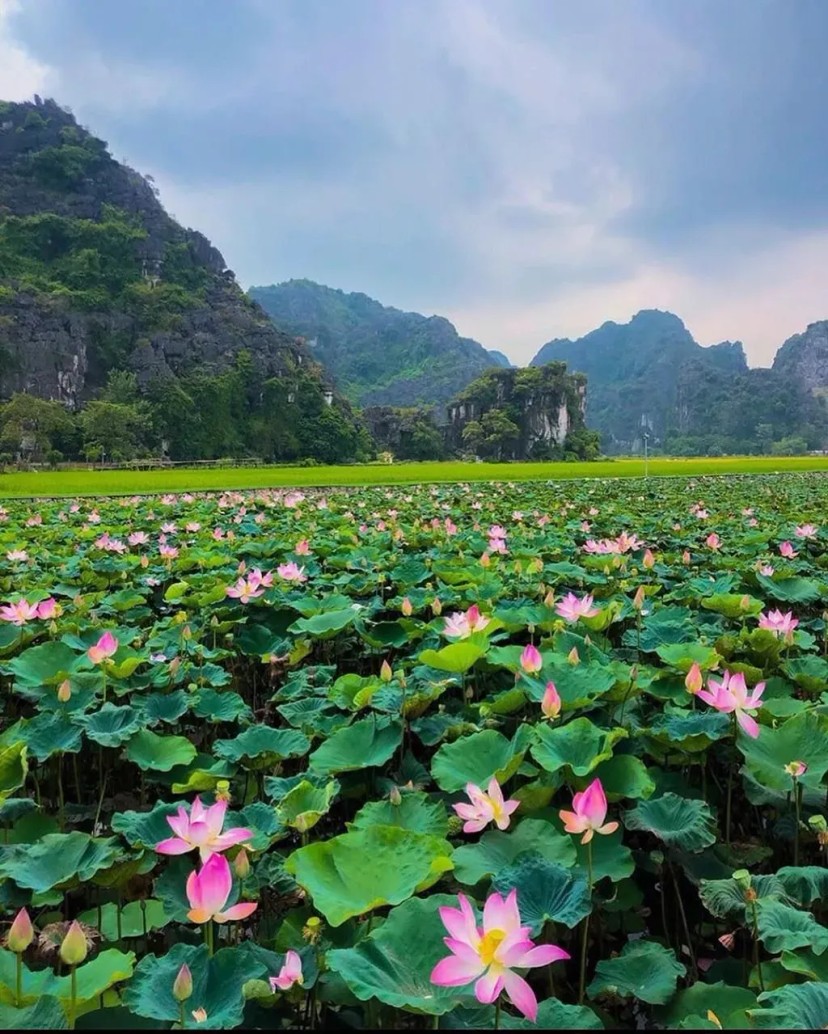 Ảnh chính Trip số 18 - lịch trình 2 ngày 1 đêm ngược dòng quá khứ về cố đô Hoa Lư Ninh Bình 