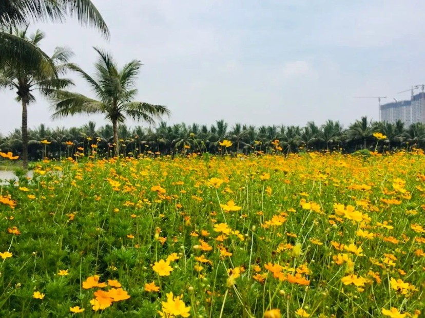 Ảnh 6 - lịch trình “Cafe La Cà” Hẹn Hò Sang Chảnh nửa ngày ở Ecopark Hưng Yên cùng người thương - Tripical | Travel planner App