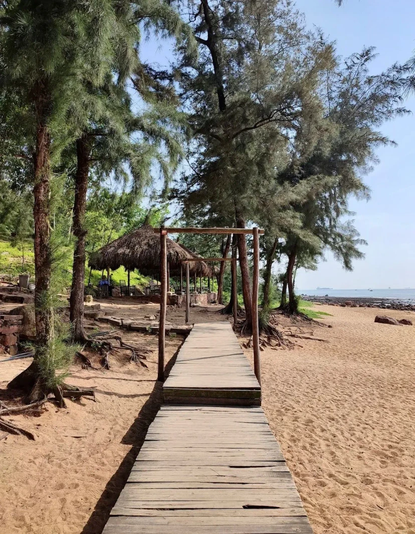 Ảnh chính Trip số 9 - lịch trình Bãi Đông - Thanh Hoá: 1 buổi chiều “phượt” biển khám phá Cây Cô Đơn và Nhà thờ giáo xứ Nghi Sơn