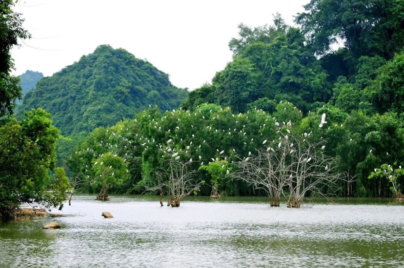 Ảnh chính Trip số 1 - lịch trình Lịch trình du lịch khám phá vùng đất Ninh Bình 2N1Đ tự túc xuất phát từ Hà Nội