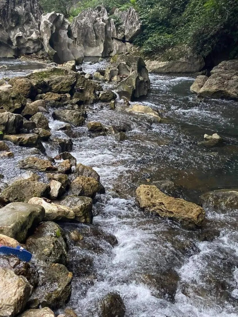 Ảnh chính Trip số 3 - lịch trình Lịch trình 1 ngày đi chơi thả ga cùng gia đình ở Ninh Bình - xuất phát từ Hà Nội