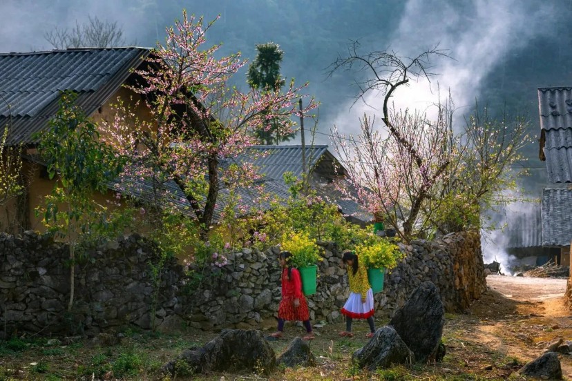 Ảnh 4 - lịch trình Lịch trình phượt  Hà Giang 2N1Đ cho ai thích hoài cổ, xuất phát từ tp. Hà Giang - Tripical | Travel planner App