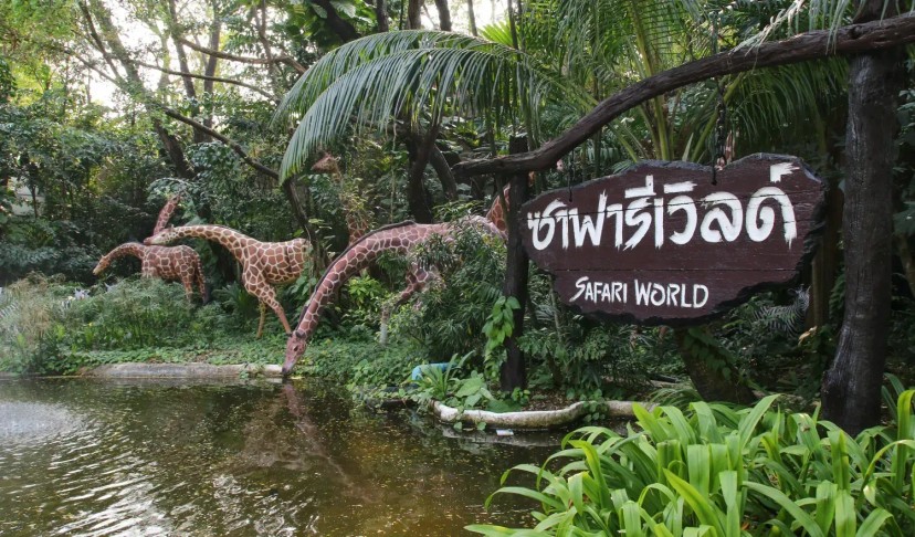 Ảnh chính Trip số 1 - lịch trình Safari World - Marine Park | 1 ngày sống trong thế giới HOANG DÃ [Bangkok, Thái Lan]