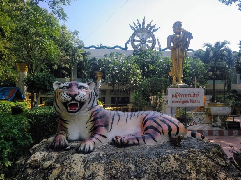 Ảnh 14 - lịch trình Xài KHÔNG HẾT 3 triệu ở Krabi!!! | 2 ngày 1 đêm | Khám phá “Thiên đường ngủ quên” của Thái Lan - Tripical | Travel planner App