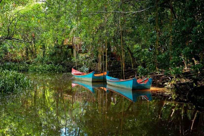 Ảnh 12 - lịch trình Khao Lak PHIÊU LƯU  KÝ 2 ngày 1 đêm | Thiên nhiên kỳ vĩ của hòn đảo thuộc tỉnh Phuket [Thái Lan] - Tripical | Travel planner App