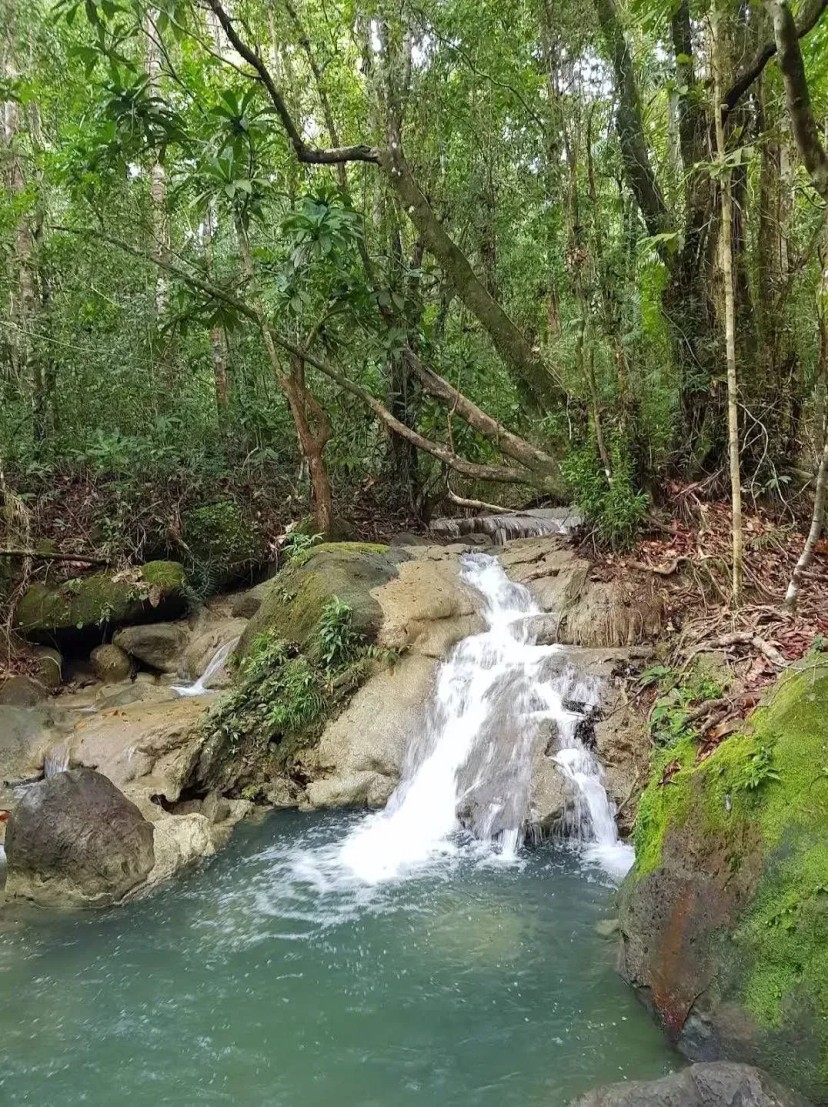 Ảnh 10 - lịch trình Xài KHÔNG HẾT 3 triệu ở Krabi!!! | 2 ngày 1 đêm | Khám phá “Thiên đường ngủ quên” của Thái Lan - Tripical | Travel planner App