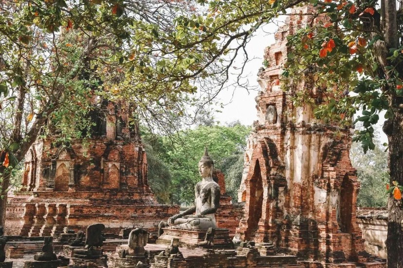 Ảnh chính Trip số 2 - lịch trình 1 ngày trải nghiệm Ayutthaya - THÀNH CỔ hoàng kim một thời của Thái Lan [Đi từ Don Mueang]