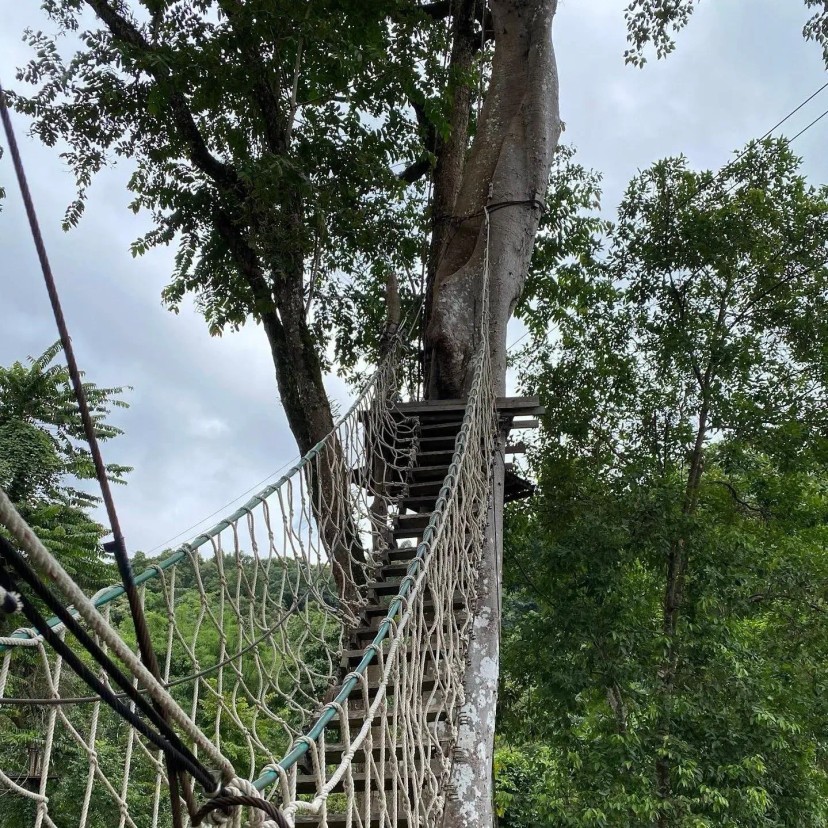 Ảnh 2 - lịch trình 2 ngày 1 đêm Khám phá Chiang Mai🌿Thỏa niềm đam mê phiêu lưu, mạo hiểm [Thái Lan] - Tripical | Travel planner App