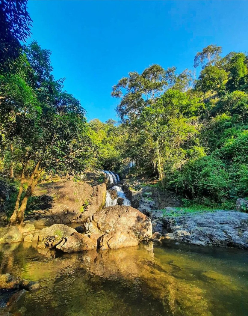 Ảnh 3 - lịch trình 1 ngày vi vu Pak Chong  - Khao Yai. Điểm du lịch lý tưởng dịp hè | Du lịch tiết kiệm - Tripical | Travel planner App