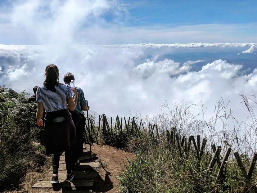 Ảnh 1 - lịch trình Du lịch Doi Inthanon TIẾT KIỆM | 1 ngày sống trên “NÓC NHÀ” của Thái Lan!? [Đi từ Chiang Mai] - Tripical | Travel planner App