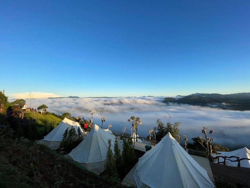 Ảnh 1 - lịch trình Chuỗi lịch trình glamping và healing từ Hồ Chí Minh đi Kê Gà và Đà Lạt trong 3 ngày chơi lễ - Tripical | Travel planner App