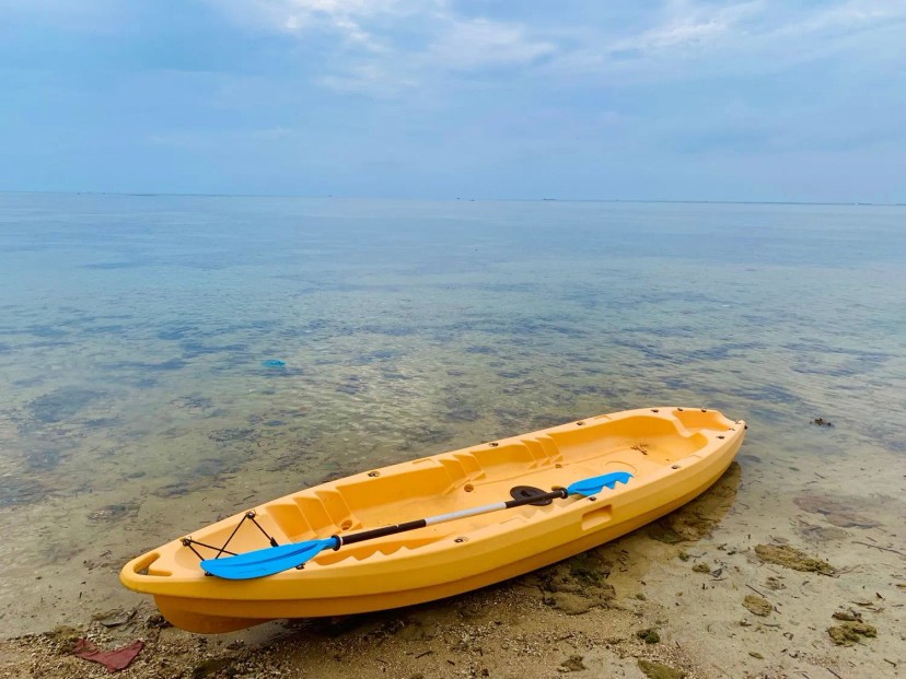 Ảnh 0 - lịch trình Chuyến đi chữa lành cảm xúc, nạp đầy "vitamin Sea" tại Ninh Thuận - Phan Rang, đi bằng tàu hoả hoặc ô tô 2 ngày 1 đêm. - Tripical | Travel planner App