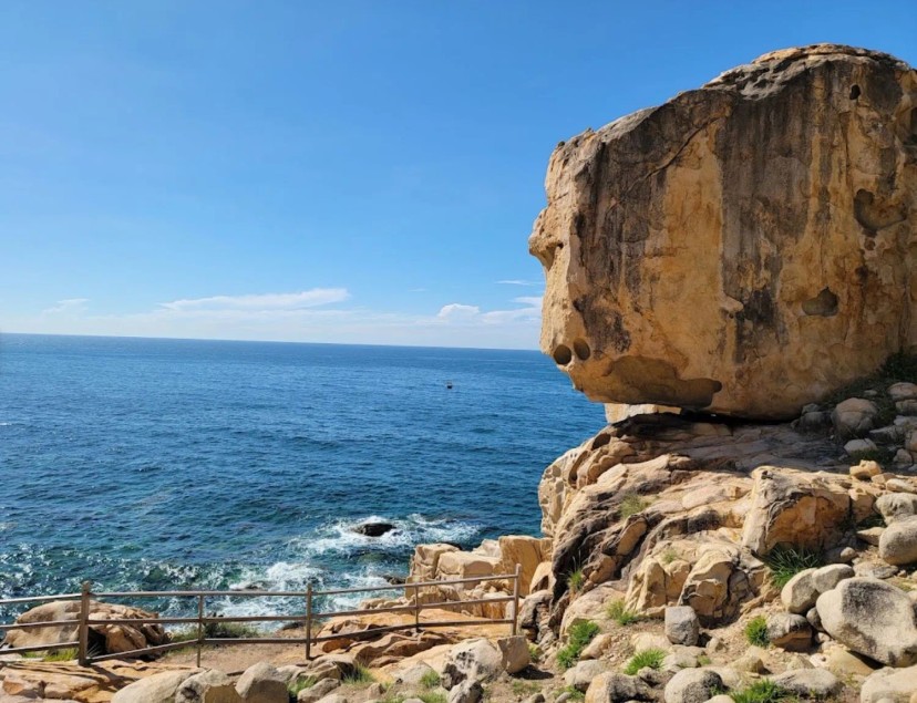 Ảnh 3 - lịch trình Chuyến đi chữa lành cảm xúc, nạp đầy "vitamin Sea" tại Ninh Thuận - Phan Rang, đi bằng tàu hoả hoặc ô tô 2 ngày 1 đêm. - Tripical | Travel planner App