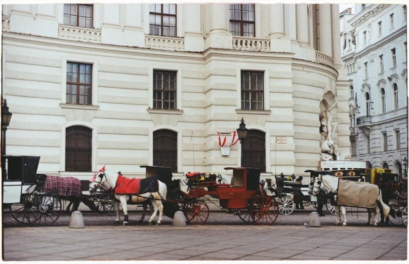 Ảnh chính Trip số 2 - lịch trình Một ngày khám phá trung tâm Vienna - thủ đô nước Áo